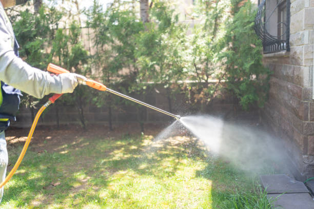 Best Termite Control Services  in Goshen, IN