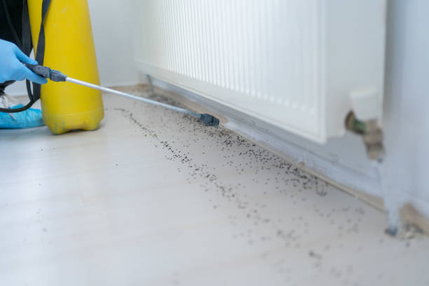 Best Best Pest Control Companies  in Goshen, IN