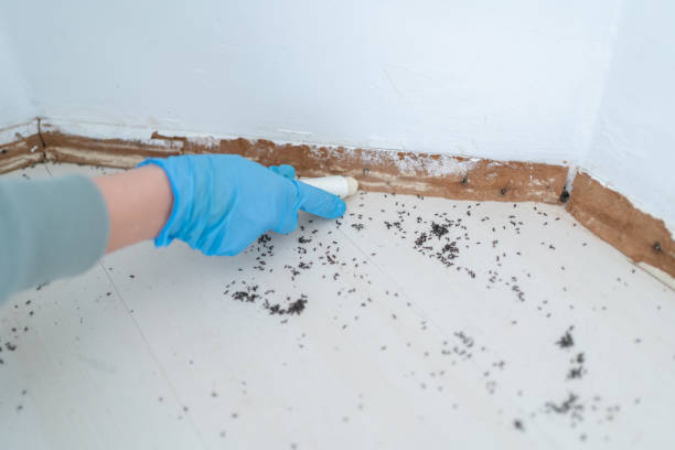 Insect Control in Goshen, IN